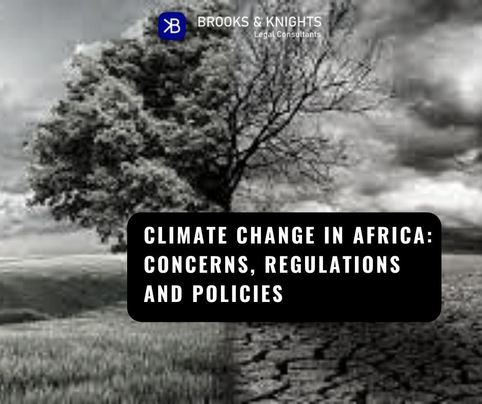 Climate Change Regulations and Policies in Africa